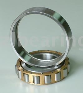 Axle Bearing for Dana Steer