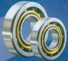 01 FLSL single row cylindrical roller bearings