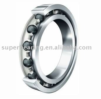 Self-aligning Roller Ball Bearing