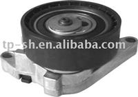 Auto belt tensioner and pulley bearing