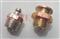 Grease nipple/ Grease Fitting/Bronze Grease nipple/ Button Grease Nipple