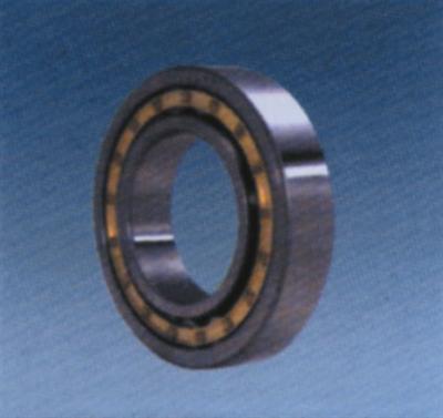 Cylindrical Roller Bearing N303E---N336EM