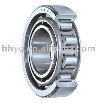 Cylindrical roller Bearing N204 Competitive price