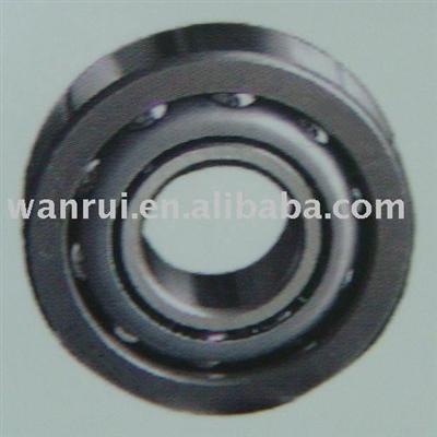 Angular Contact Ball Bearing (7208A)