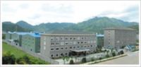 Zhejiang Dicastal Hongxin Technology Co. , Ltd