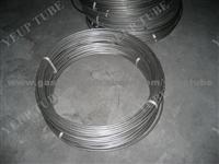 304/316 Stainless Steel Coil Tube