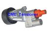 Belt tensioner for Peugeot 406/Citroen Berlingo BT214