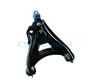 Control Arm for RENAULT CLIO II