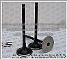 Dongfeng Cummins Part 6CT 8.3-Engine Valve 3901117