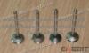 Dongfeng Cummins Part 6L 8.9-Engine Valve For T375 Truck