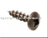 pan head phillips drive self tapping screw SS-30