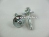 hex washer self tapping screw SS-21