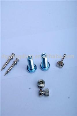 provide all kind of screws SS-112