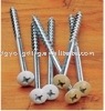 round head phillips drive self tapping screw SS-19