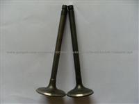 Engine Valve For DAF 211260,210504