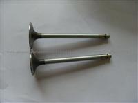 Engine Valve For DAF 674830 674829