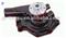 Isuzu 6BG1 Auto Water Pump