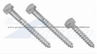 Carbon steel / Stainless steel Screw