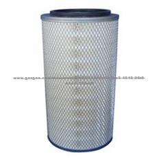 Air Filter AF4696 (WS-1005B)