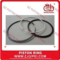  auto piston ring FOR LAND ROVER