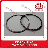 Auto piston ring for RENAULT R25,R30