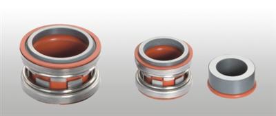 Type 2100 series mechanical seal