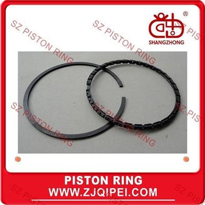 Auto piston ring for RENAULT R25,R30