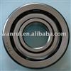 Angular Contact Ball Bearing (7304)