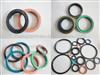 PTFE lip ring seal