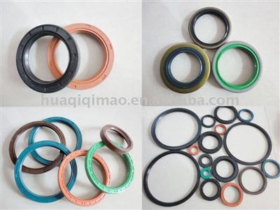 PTFE lip ring seal
