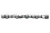 Daewoo Camshaft 90232446