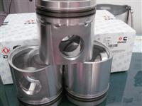 Cummins  Piston 3036074