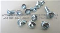 Screw 1022A with head treatment