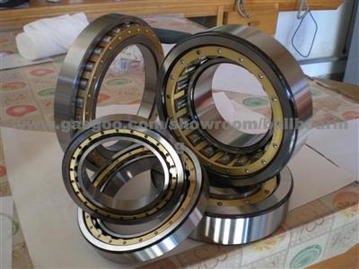 Porsche Cylindrical Ball Bearing NN3005