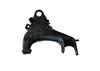 Track Control Arm for NISSAN PICK UP(54500-2S685/54501-2S685)