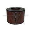 Air Filter P55-0050 (WS-1012)