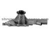 MERCEDES-BENZ AUTO MOBILE PUMP 6112001101