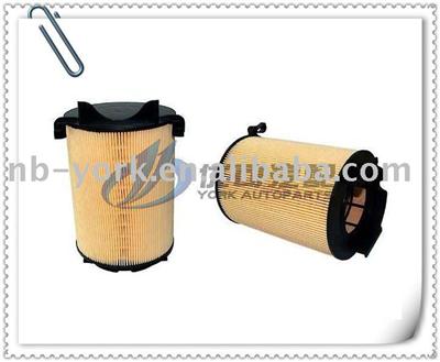 Air Filter  F0129620