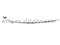 3508110-4E2 Brake Cable FOR CA1020