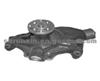 GENERAL MOTORS AUTO MOBILE PUMP 12458927