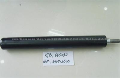 Shock Absorber For Audi 665030