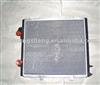 aluminium radiator OE:6006000712
