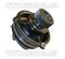 Auto Water pump for IVECO