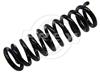 Coil Spring 202 324 20 04