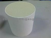 Diesel Particulate Filter