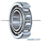 Cylindrical Roller Bearings for Audi