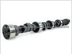 Camshaft for Hino H07CT