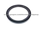 Oil Seal For MAN 51.01510.0197