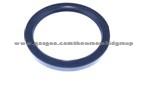 Oil Seal For MAN 81.96502.0349