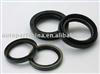 Oil Seal for Kamaz car of Russia CIE-488-114-656